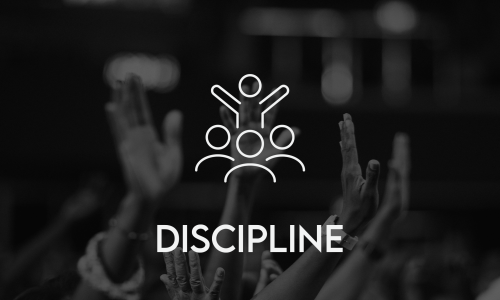 web_discipline