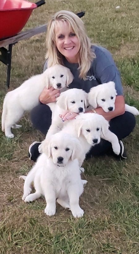 WhatsApp Image 2023-04-06 at 9.26.11 PM